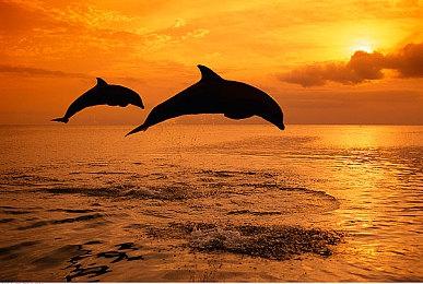 在《博德之门3》创造角色的选择 会影响整个游戏过程