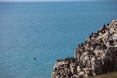 《Lynked: Banner of the Spark》将于5月22日多平台登录