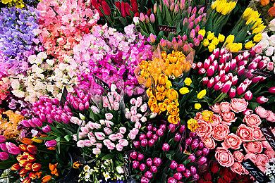 3DM春节福袋大放送！ 超高爆率赢豪华3A，福袋最低只需9.9元